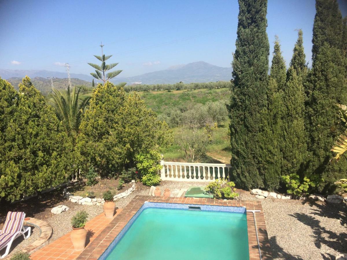 Villa De La Rosa Málaga Dış mekan fotoğraf
